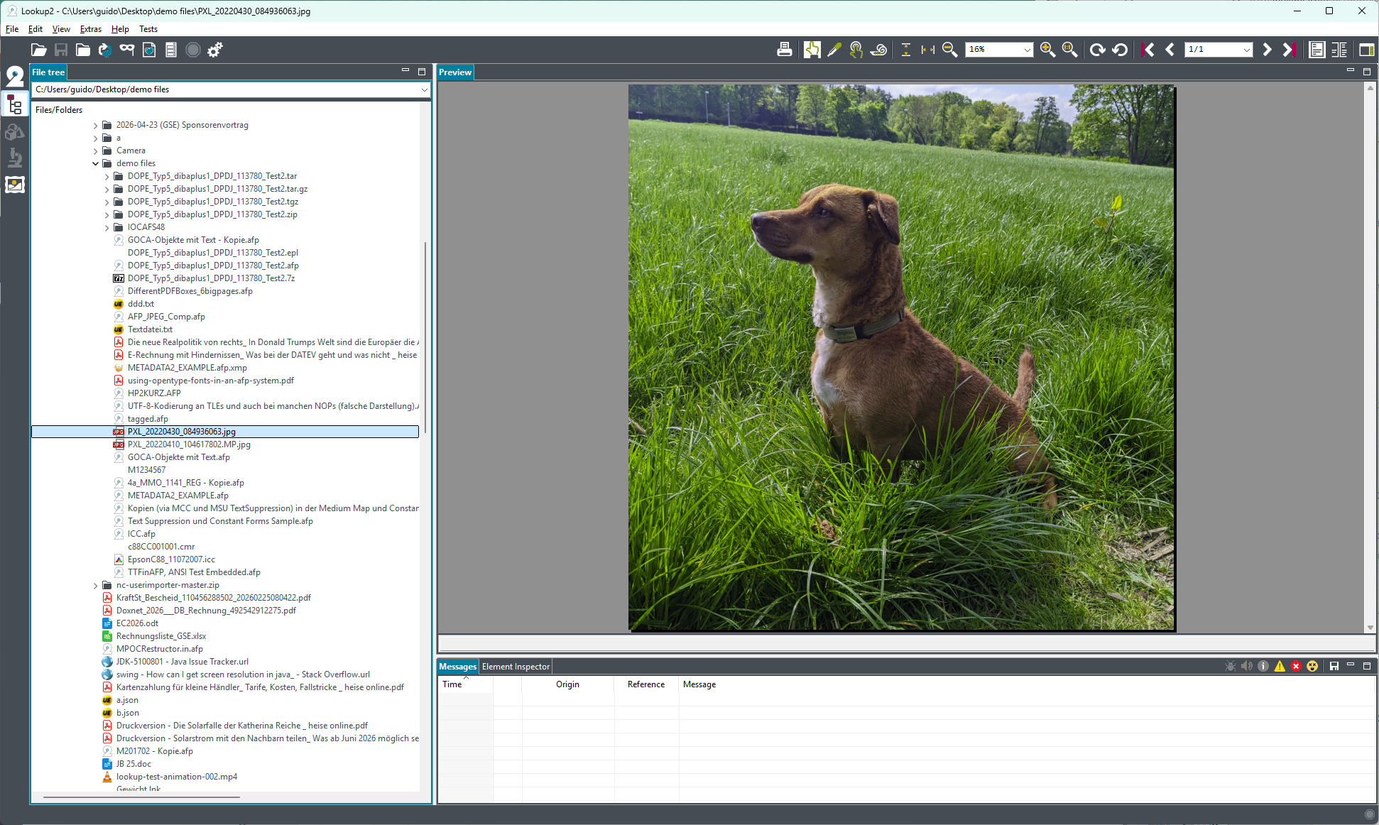Desktop mit Anzeige eines JPEG-Bildes